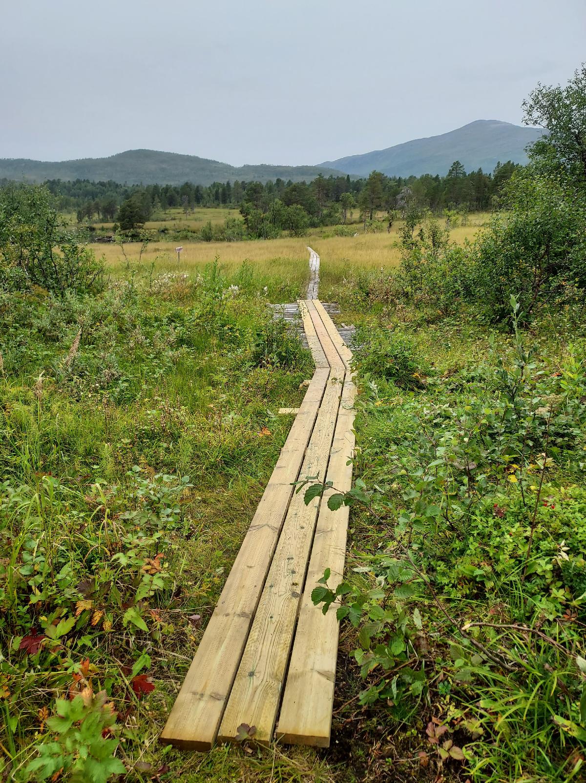 Sportklubben saga 2 22.jpg